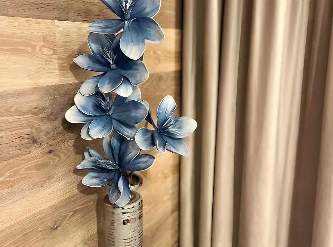 Ho!house Księcia Witolda Apartament *