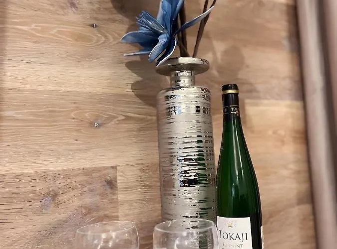 Apartament Ho!house Księcia Witolda *