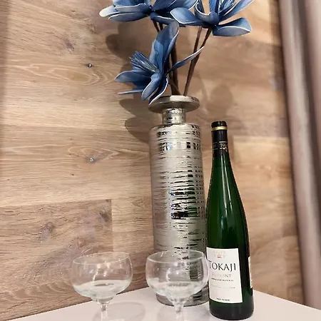 Apartmán Ho!house Ksiecia Witolda *